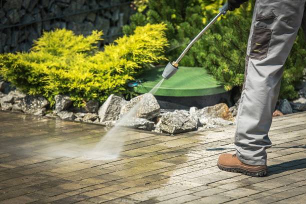Best Solar Panel Cleaning  in Dripping Springs, TX